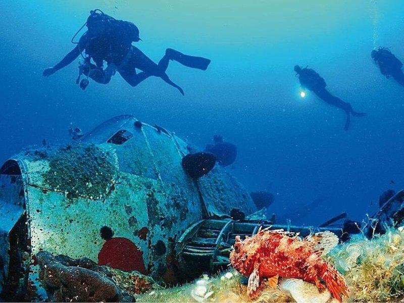 89ABB01CB1991F31D4D8768A12B6D741