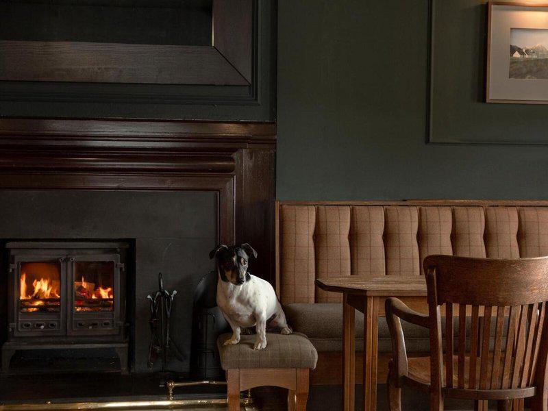 DC10F44A8A8ADD4C7C27D7D8041369F7