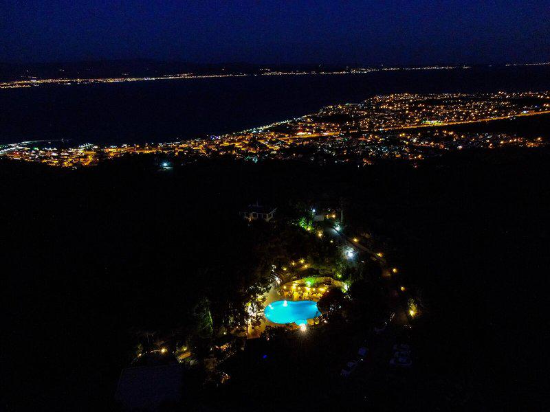 982AA1F02FFC77D0B63A3899F8782214