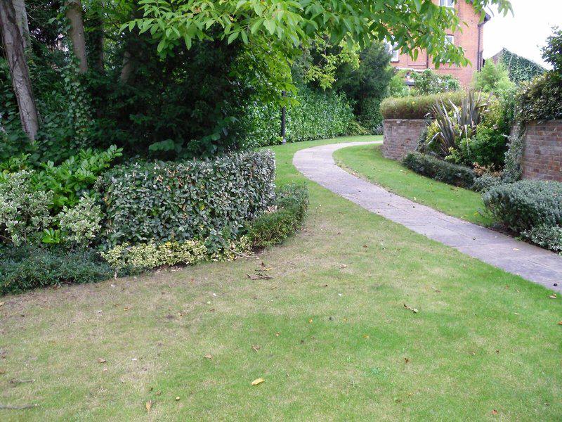 429EC9E96125CBD7AFB41FFF29E6CB1B