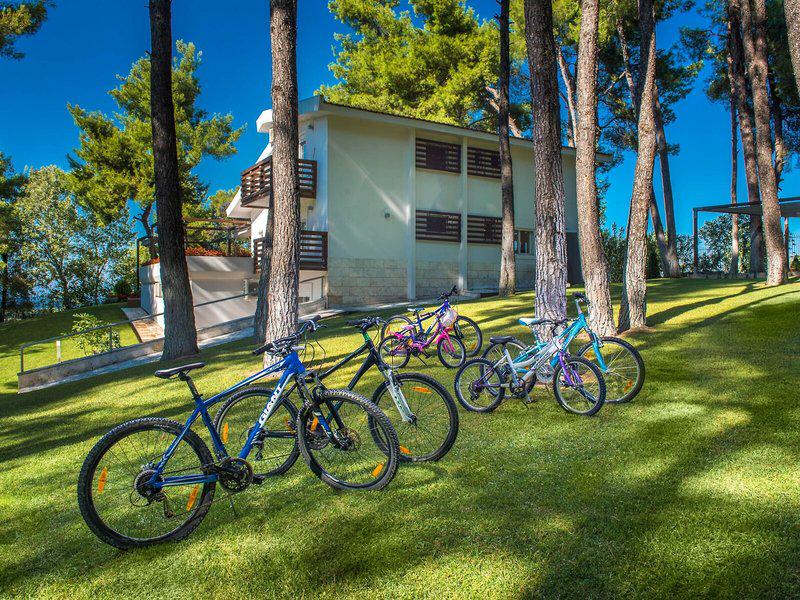 83B5BDFDDFBAAA97BD8B3C4B6879F799