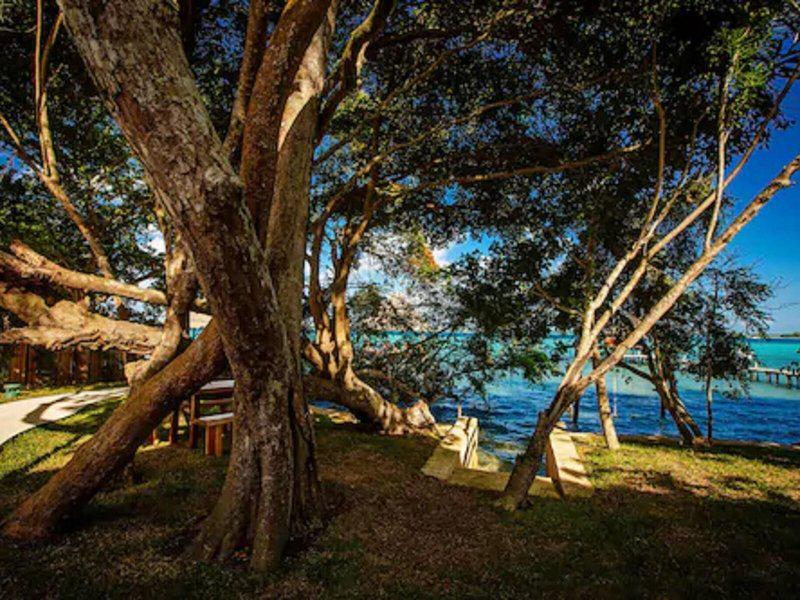 D0A833FA0123DB639B412ED0DF7F6CB4