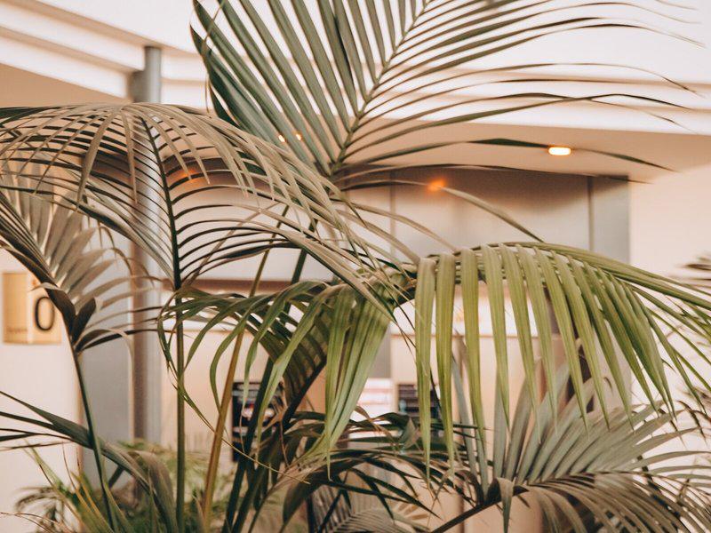 07F5B71B04FA33B462B0849FE0C2EE5A