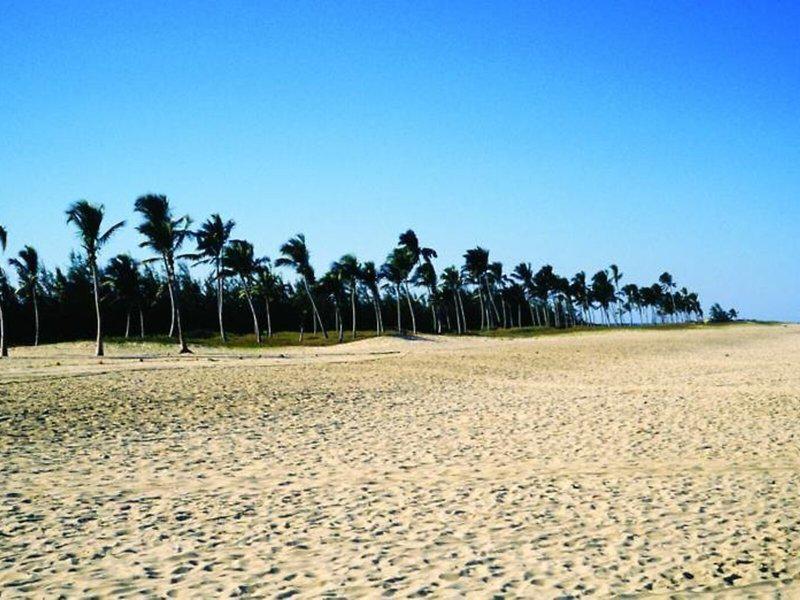 D5F072CB87D738DA1012F9170D1F308B