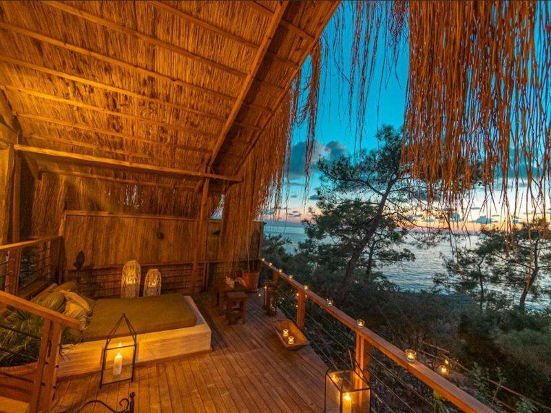 F69D3C864BF269E2B237F5E3250C6E3D