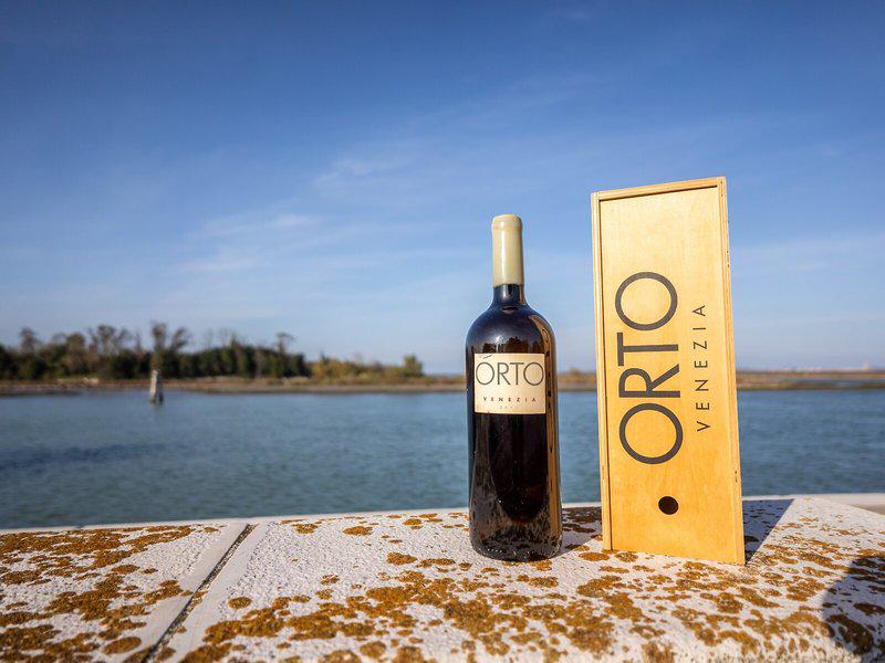 E5552092130EA02DCE3F628CF13972CE