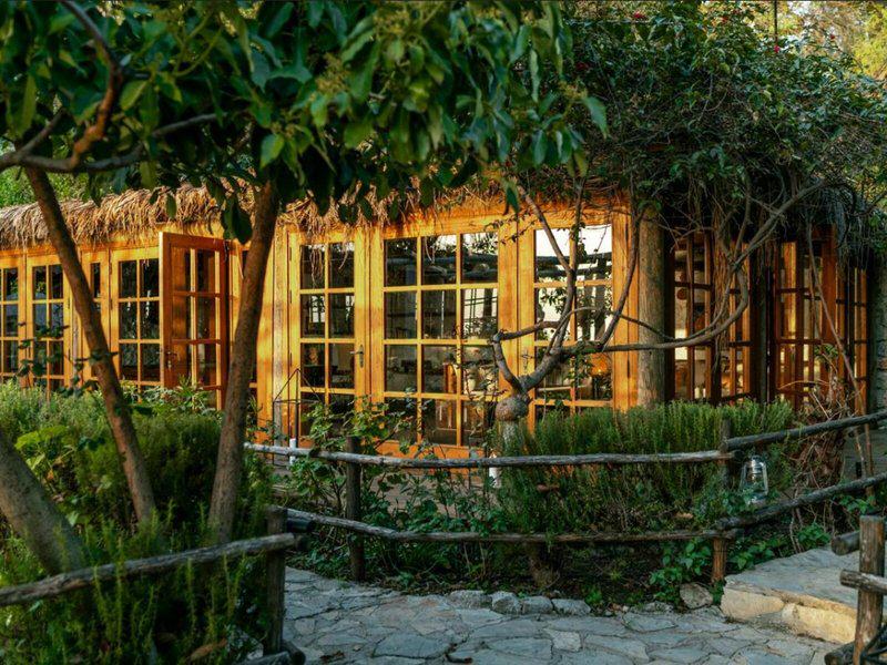 539B955BFC9ABD47F7FF87B6B36CA5E4