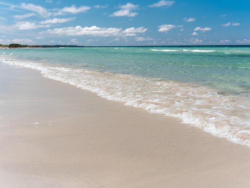 7C1A97D41CB4282716FAFB987B4FFE2F