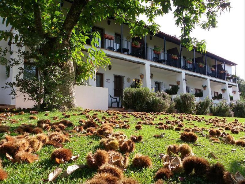 B3324B1613ACD740989BF0E9DB98ACEA