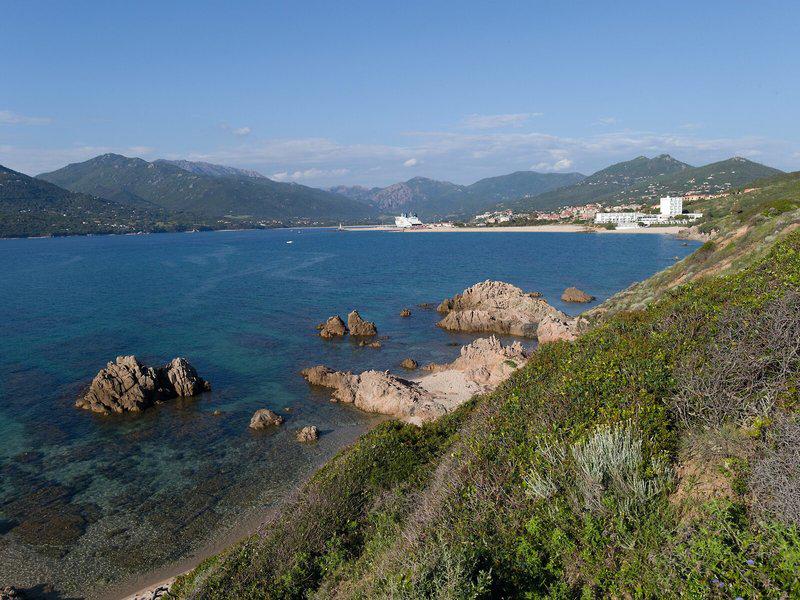 383C087E1DE343B45BF490CAD38F304A