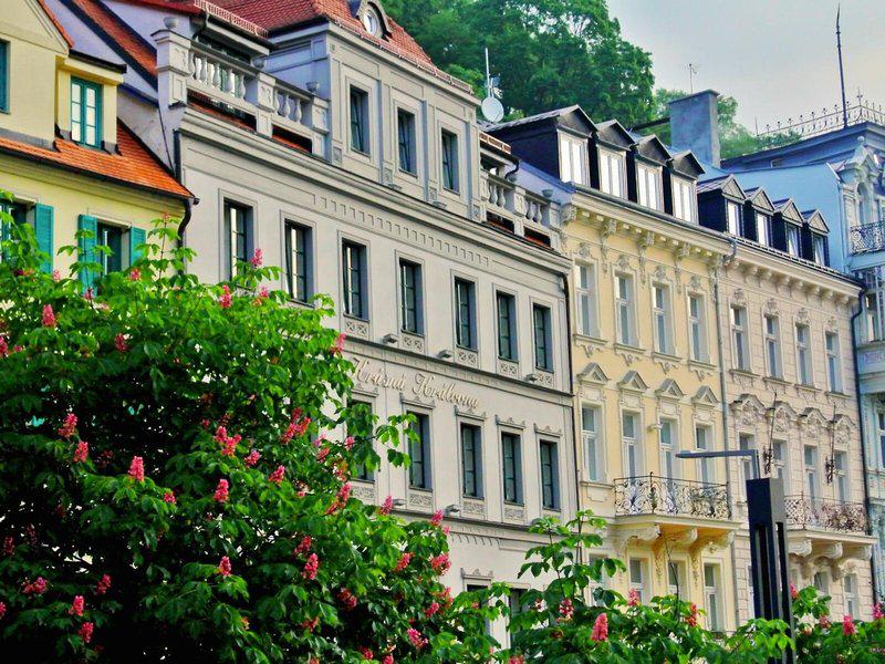 848FDBD8D524349A8178004751823685