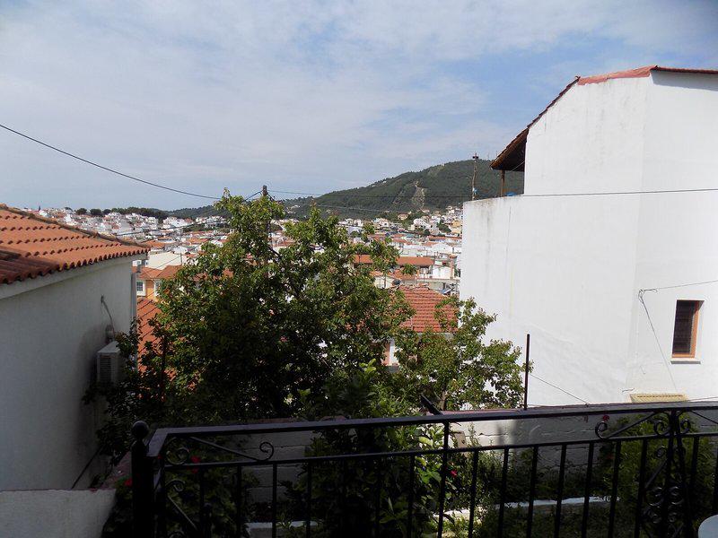 776D03C2FD9C573EBF9303A6842392AA