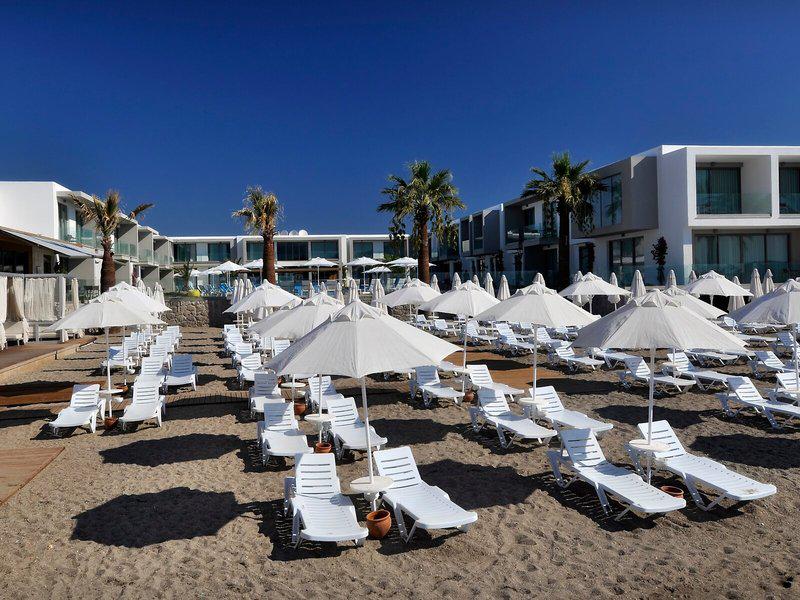 DC2DDABE3FA2CD03E6F007EBF3547336