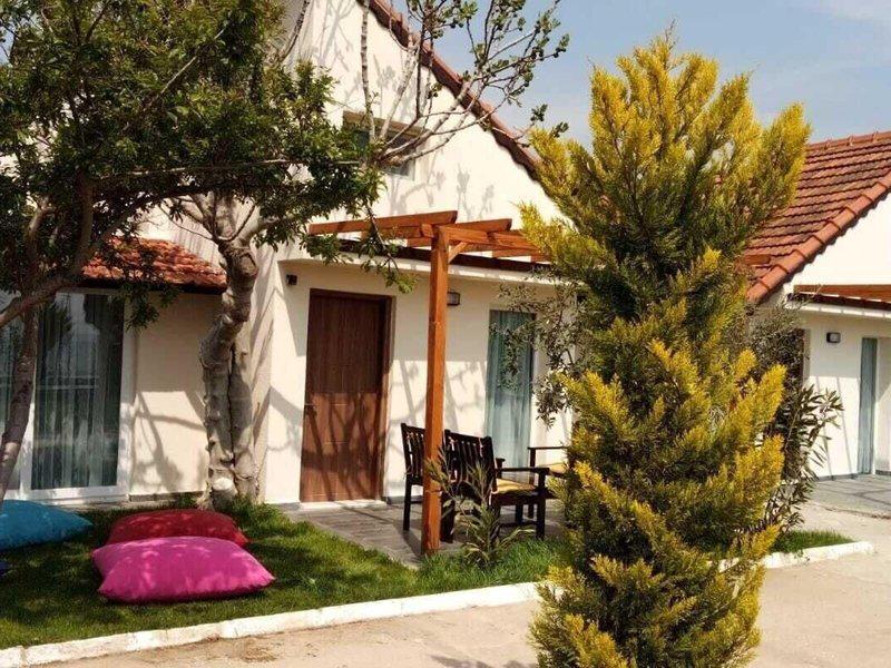 F0F83ECBEF6127E260BC4C214FFC4E35