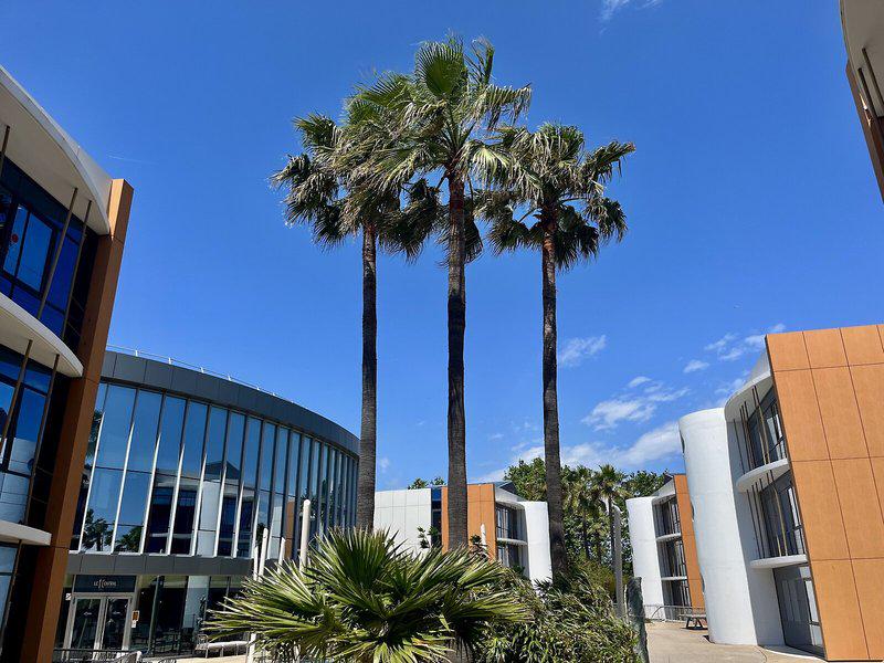 B40B24D5647FFC51723E57353348ACDB