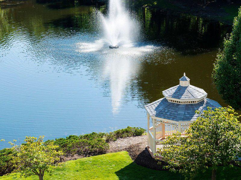 8BF029A4712EB2BDBC0E9B8C67A10FDC