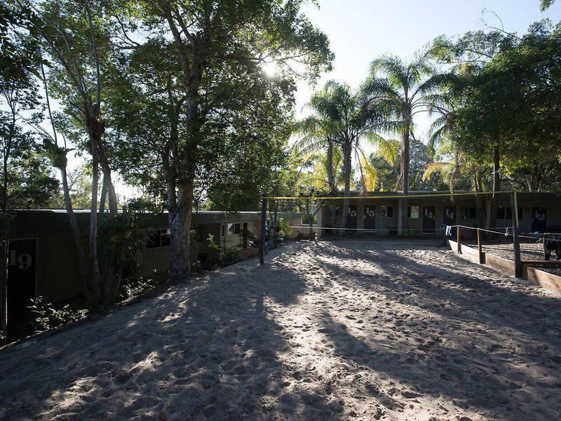 EF0DEE29584307F24F61D0AEDB2FA224