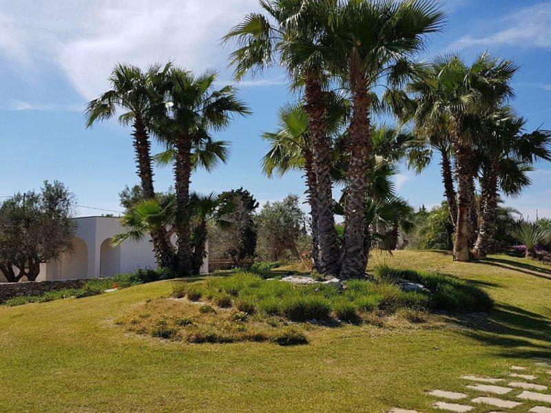 06D3503935F07F56A10F67545DA5DF96