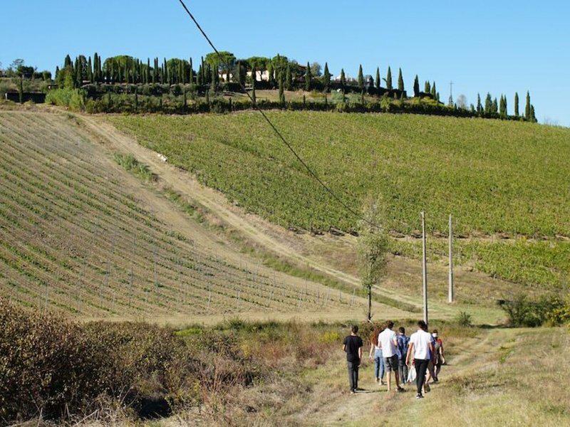 5ED092500D09B96E9C31F411DFA26573