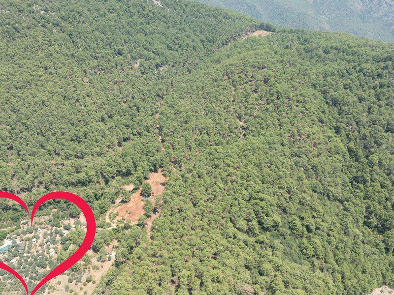 5222E55823666B3DC7C06B940172756A