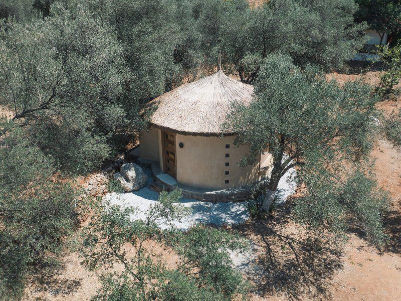 7C62E7CB5715A8D4BA41A14EA1320A47