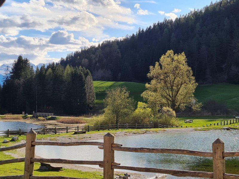 22207FD47BD4C66157E69673F5D03AB2