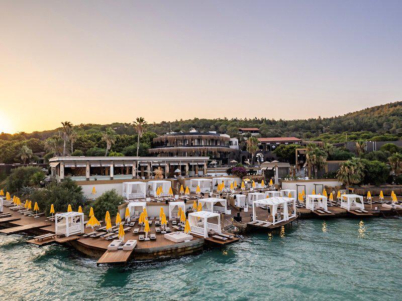 E00D96B435497A5D9C6D70111717AB86