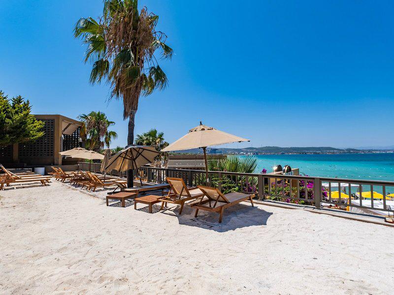 8F0319F03974A780686CABE35A020772