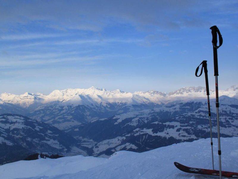 8D99DA15A396DA5B43A5FBE71B7278F9