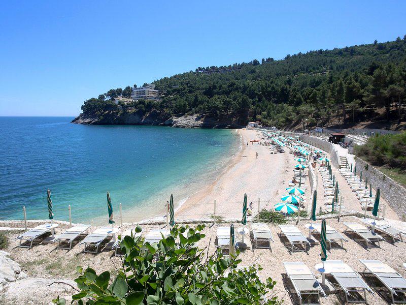 EE663F5FBE3F0D89F6DCF04FEF803AA2