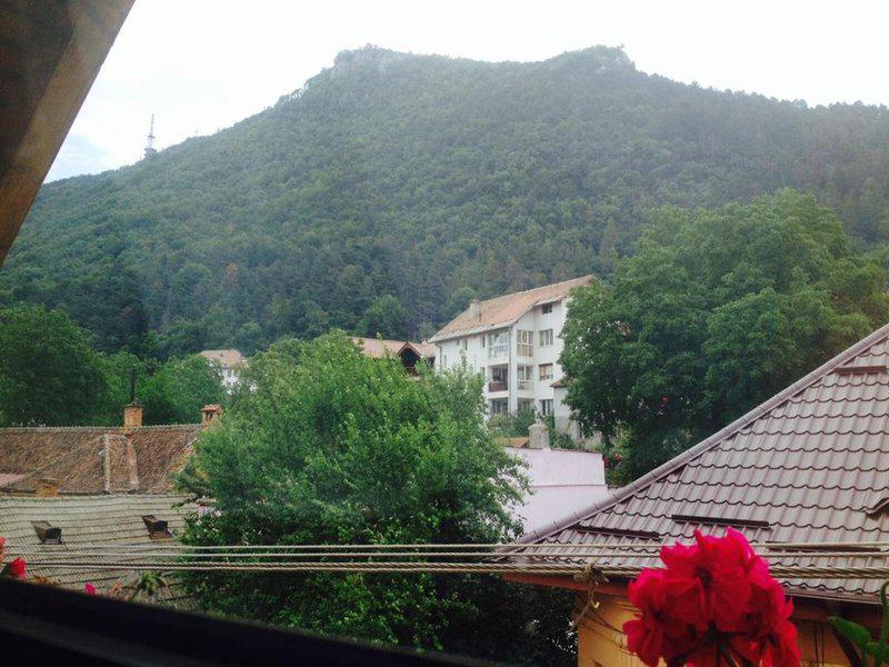 3B48DAA08AFB1A861B0D0D88B25E1716