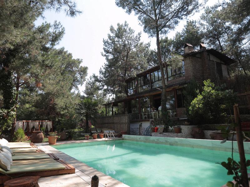 29DC81A35B67E96089708E399F936DA2