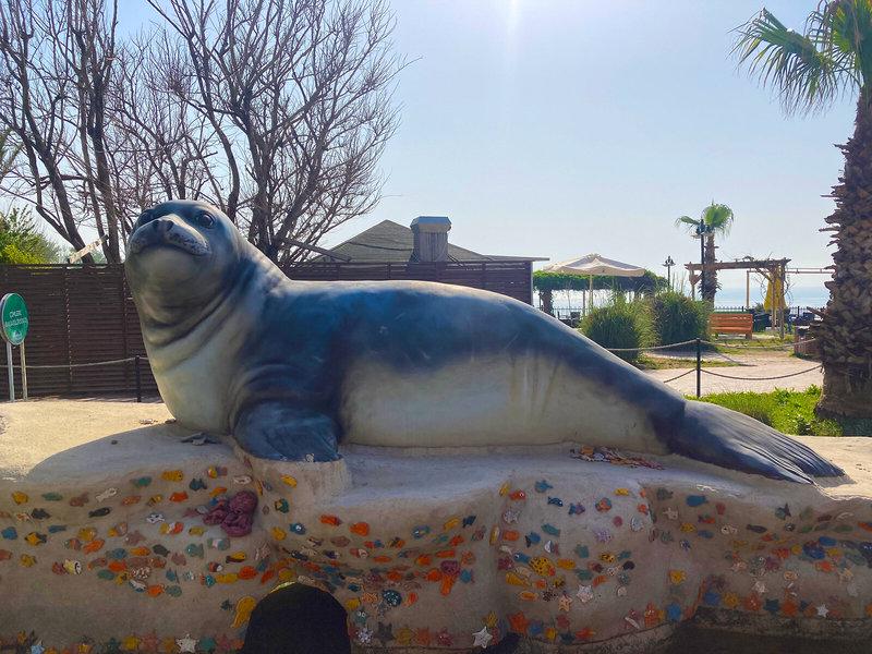 AF1C0DA5679F46E8D1A68F5F84F06DEB