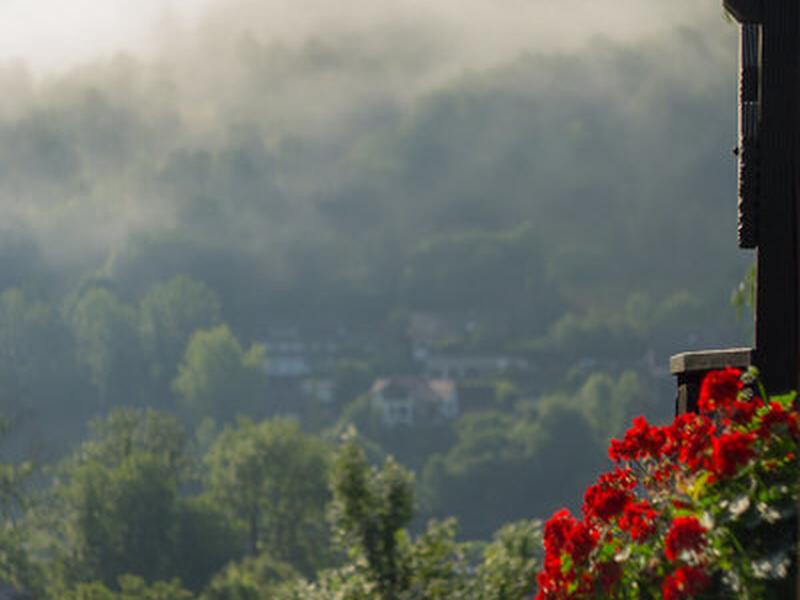 05C24AE697618ED907A0B2C01B3C85B7