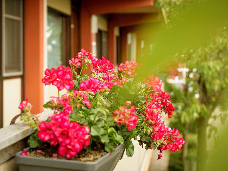 13CAFAB08BC6A8852BC94006A3E2431A