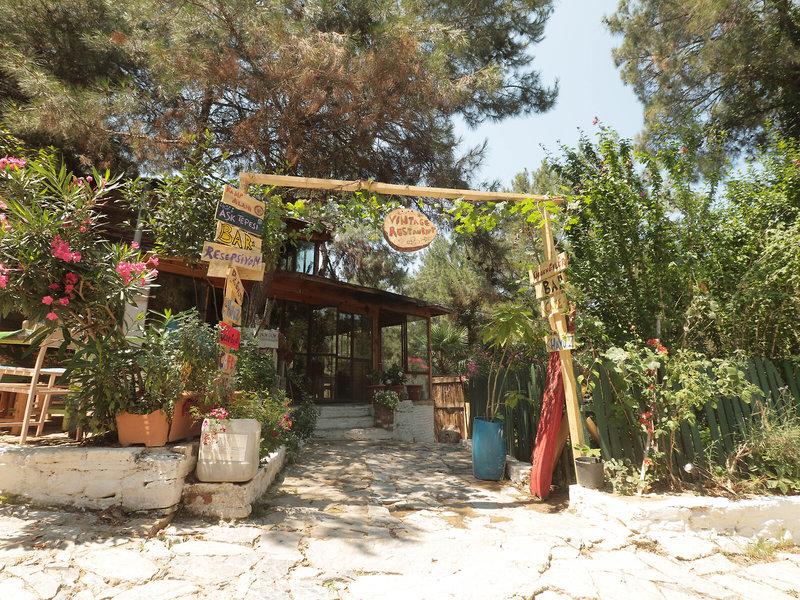 446ACA63E56E69AB38E06EC313030037