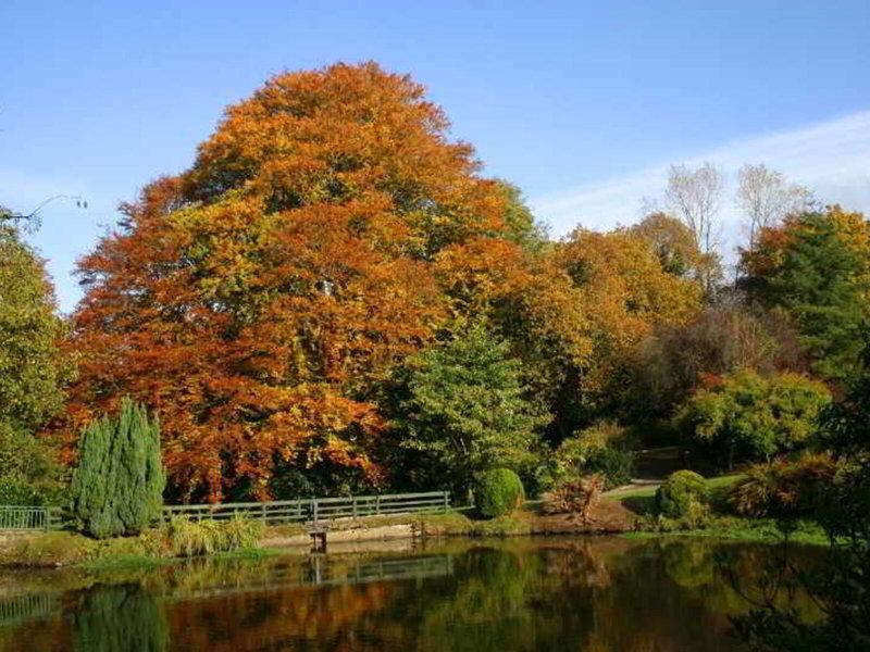 DAE85CB17FB486DEF46157565D4E8569