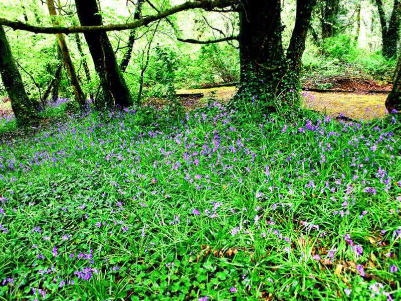 D327D51D03293FEB5FFF792697264E48