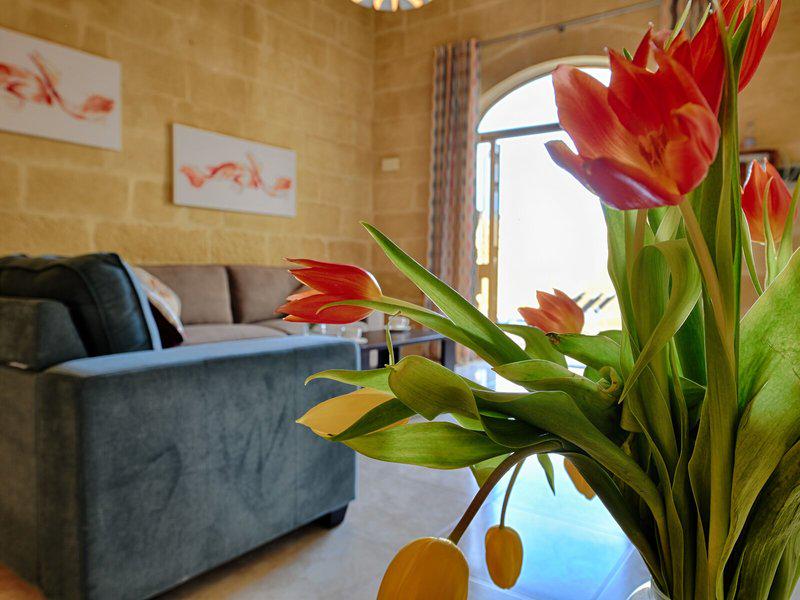 D71872B85BE7CB0ABBBF44F8E6B9BEC2