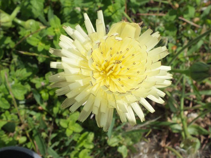 46F99DE34D7F46174692FFE943B4A4CB