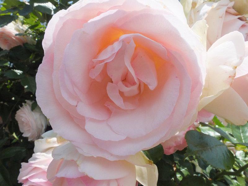 F476541EE7088007DE0DA9A8356AE714