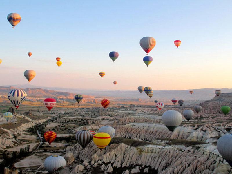 212429D2BDEC77037E38223974478E67