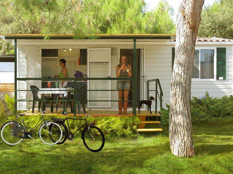 E153B0F08C902066E538E4F63EF5C938