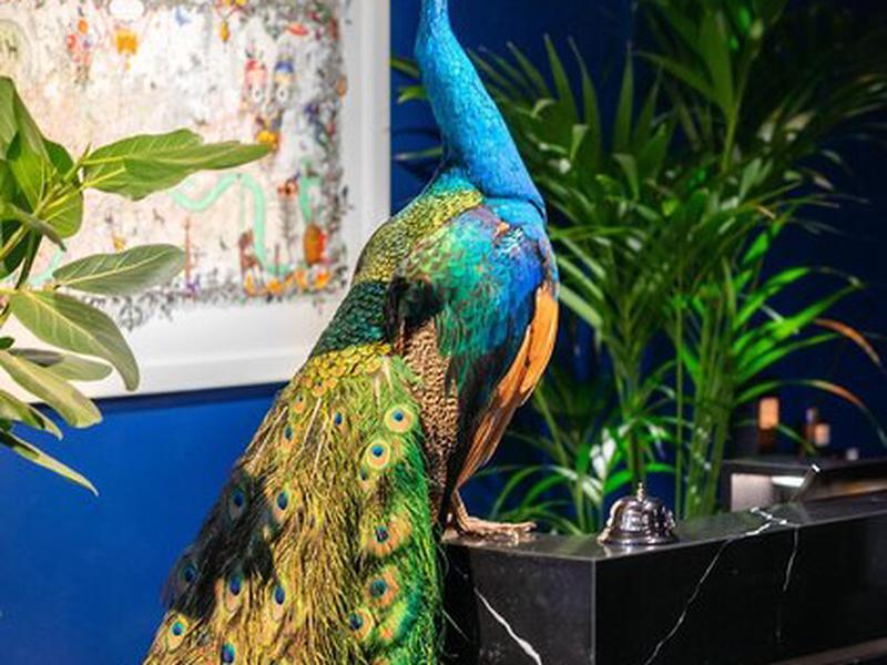 F7610B0E37AAC483FDAB4D731F3F1FA9