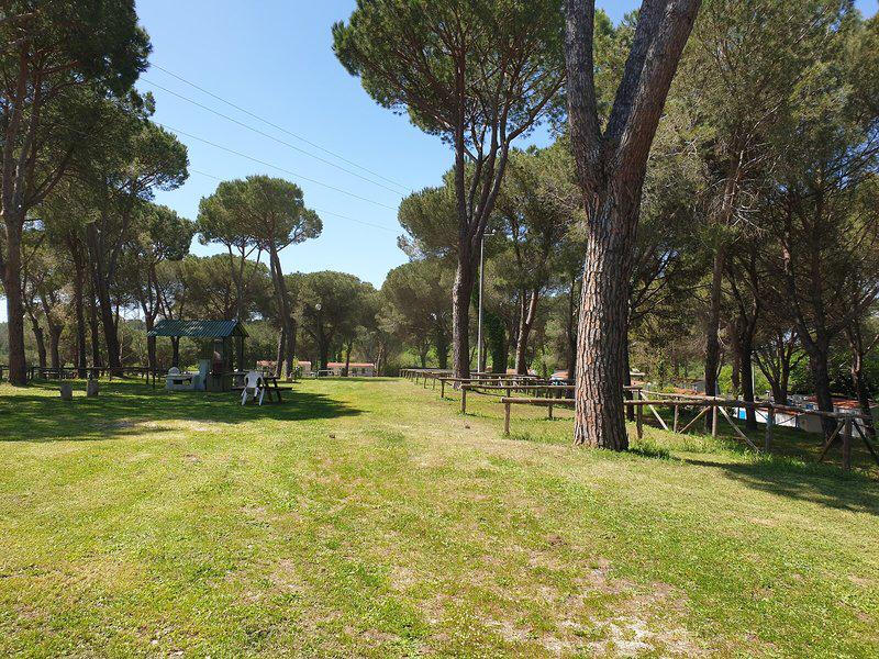 38B38CA478369155C2F2E2DB265609EB