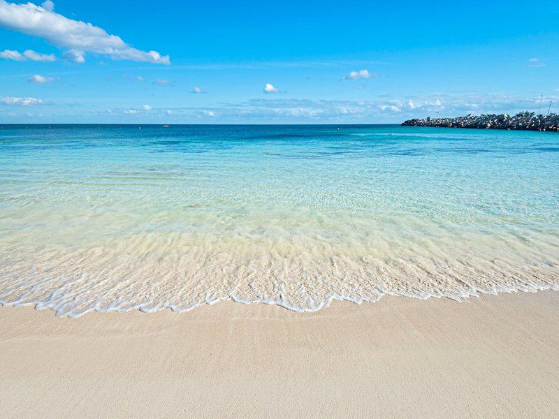 8DE308FD5A1BE0AF8F673AF041AF213A