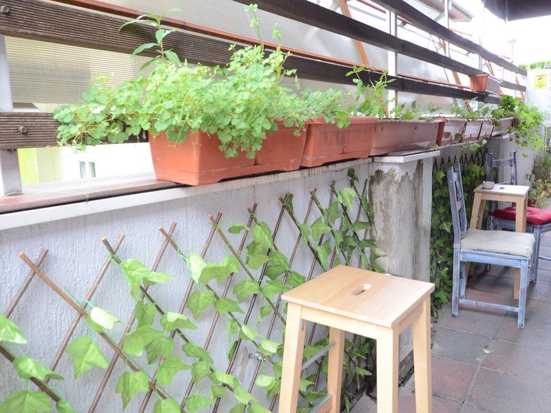 F81FA519569C5F47B715D91279DAC3AA