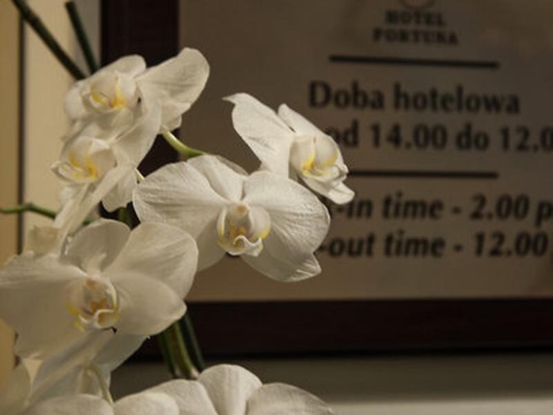 066D72D156540A0AA20A63965E0FDF55