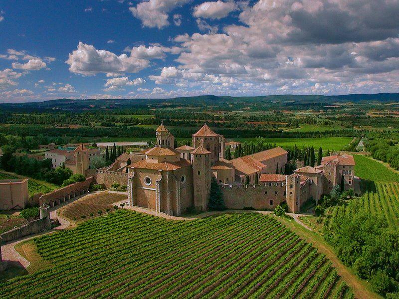 4CEDE64C70ED04368FAD24A9399DF88E