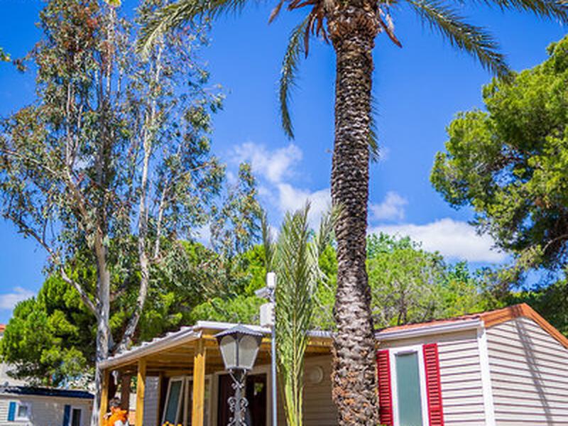 29229CA269AFA17568D644E4BFC7A070